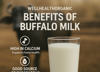 WellHealthOrganic Benefits of Buffalo Milk WellHealthOrganic Benefits of Buffalo Milk