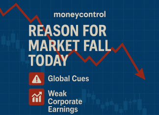 Key Reasons Behind the Steep Fall in Indian Equities reason for market fall today moneycontrol